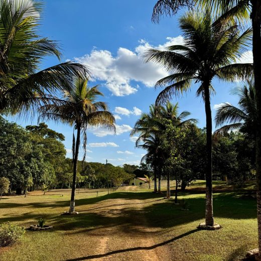chacara aparecida de goiania-7
